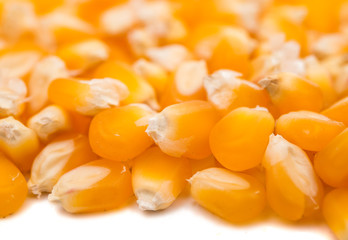 Corn for popcorn