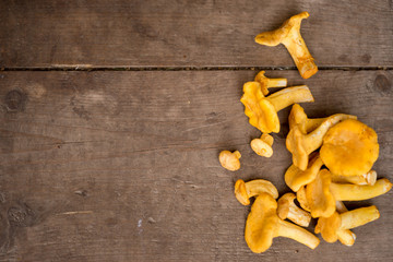 golden chantarelles on a wooden desk with copy space