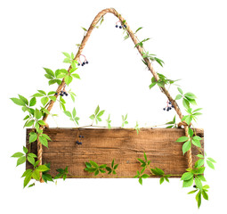 wooden sign entwined with grapes isolated on white background