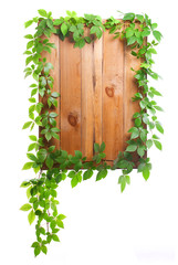 entwined with vine wood sign