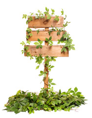 Old wooden signpost entwined vines.