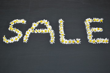 Special offer - sale