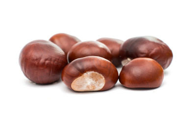 fruit chestnut