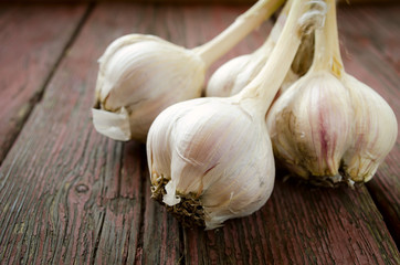 Old organic garlic whole and cloves on the wooden background