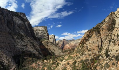 Fototapeta na wymiar Zion Canyon, Observation Point
