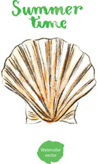 Watercolor shell