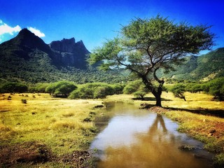 Savannah landscape with mountain