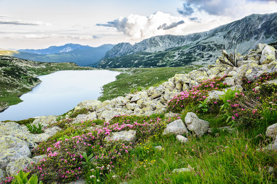 Mountain lake Bucura, in Retezat, Romania, Europe