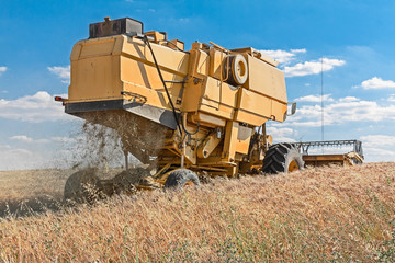 harvester working in wheat field