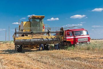 Fototapeta premium harvester and truck in wheat field