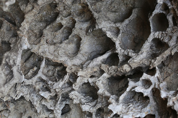 rock texture background