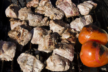 This is a photograph of Chicken and Tomatoes on a charcoal grill