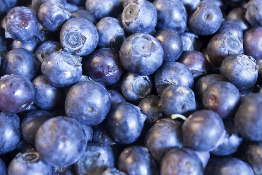 This is a photograph of Blueberries