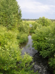 Река Костылевка