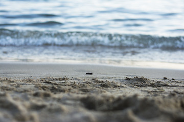 Fototapeta na wymiar Sandy beach with waves