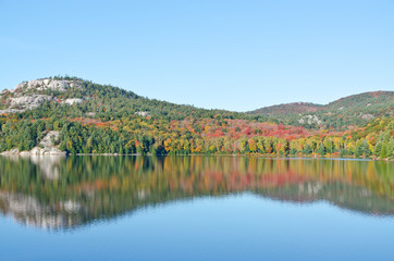 Obraz premium Sunrise above forest lake
