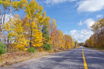 Falls colorful trees