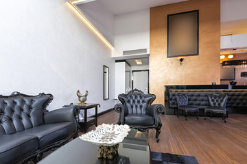 Luxury living room interior 