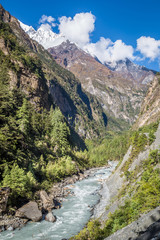 Fototapeta na wymiar River coming through the valley between great mountains