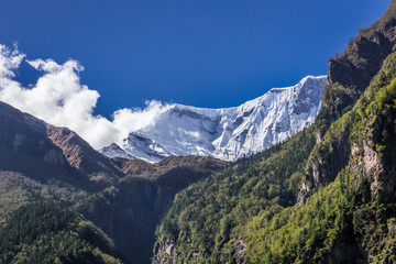 Fototapeta premium Snowy mountain peak between mountains and trees
