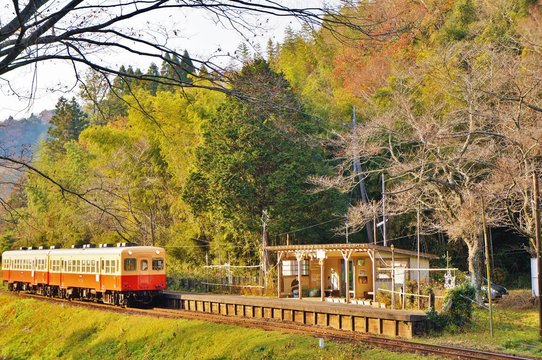 Fototapeta 上総大久保駅と列車