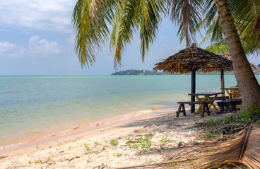 Landscape with palm tree,sea and island on background