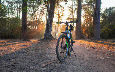 Fototapeta na wymiar mountain bike. Photo bike in the forest standing on the footboar