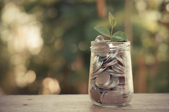 plant growing out of coins with filter effect retro vintage styl