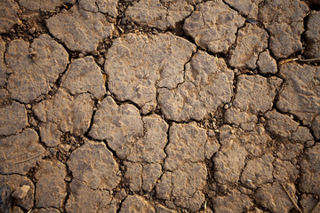 Dry land barren cracked texture