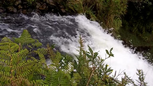 Bridal Veil Waterfall Pakoka River Waikato New Zealand NZL 