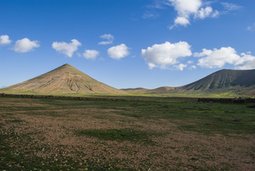 Fototapeta premium Fuerteventura, Canaries
