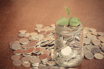 plant growing out of coins with filter effect retro vintage styl