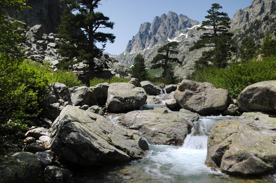 Bergfluss im Restonica Tal