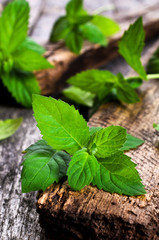 Fresh mint