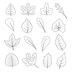 Black and White Leaves Shape Icon Set