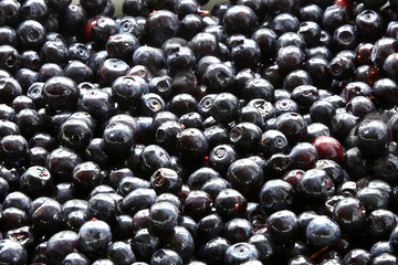 fresh blueberries on plate