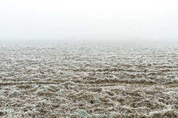 Fields