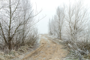 Road to white winter