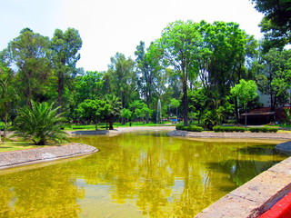 Fototapeta na wymiar Parque Agua Azul à Guadalajara