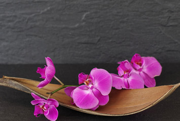 Orchidee in einer Palmblattschale
