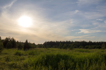 Природа России. Панорама цветущего луга в контровом свете. © 1802185