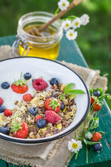 Tasty breakfast with yogurt and berry fruits in sunny day