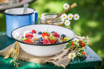 Obraz na płótnie Canvas Tasty breakfast with berry fruits and yogurt in garden