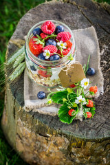 Fresh muesli with yogurt and berry fruits in sunny day