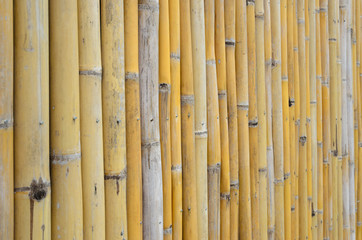 old bamboo wall background