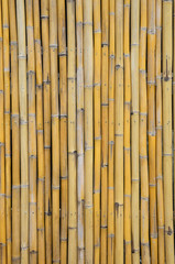 old bamboo wall background