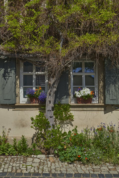 Doppelfenster