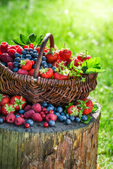 Ripe berry fruits in basket