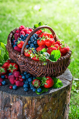 Fototapeta na wymiar Ripe berry fruits in sunny day