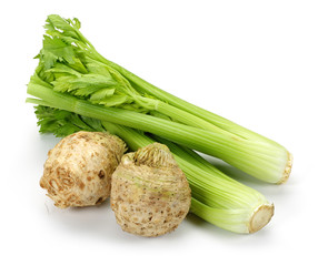 Celery © mates